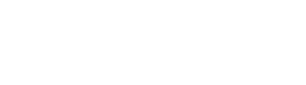 Denbright logo Horizontal-rev w tag
